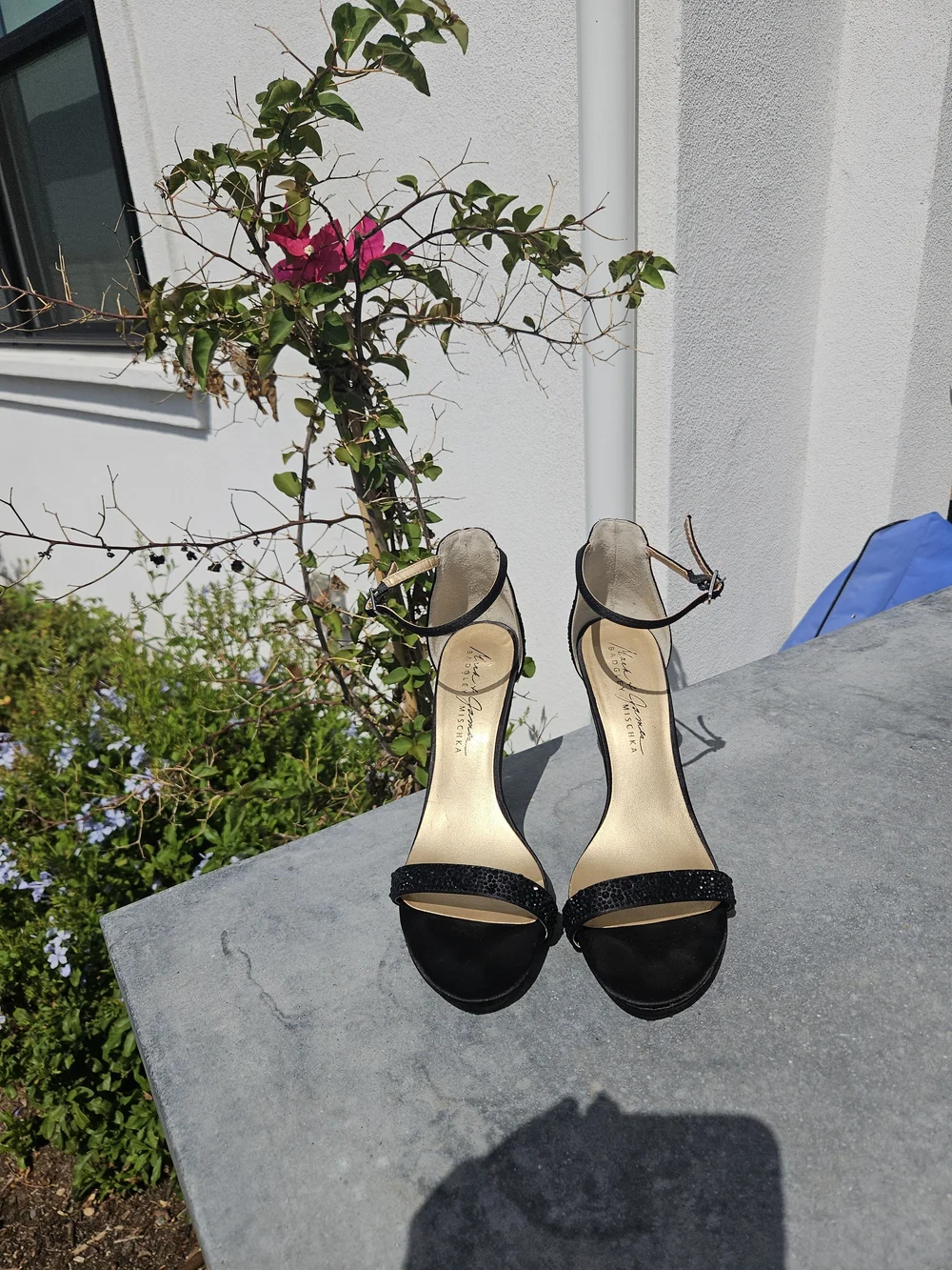 Badgley Mischka Black Women's High Heel Sandals with Ankle Strap